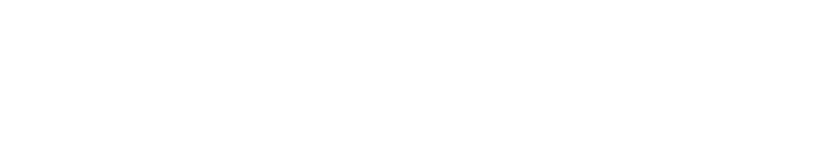 True North Community Services White Logo